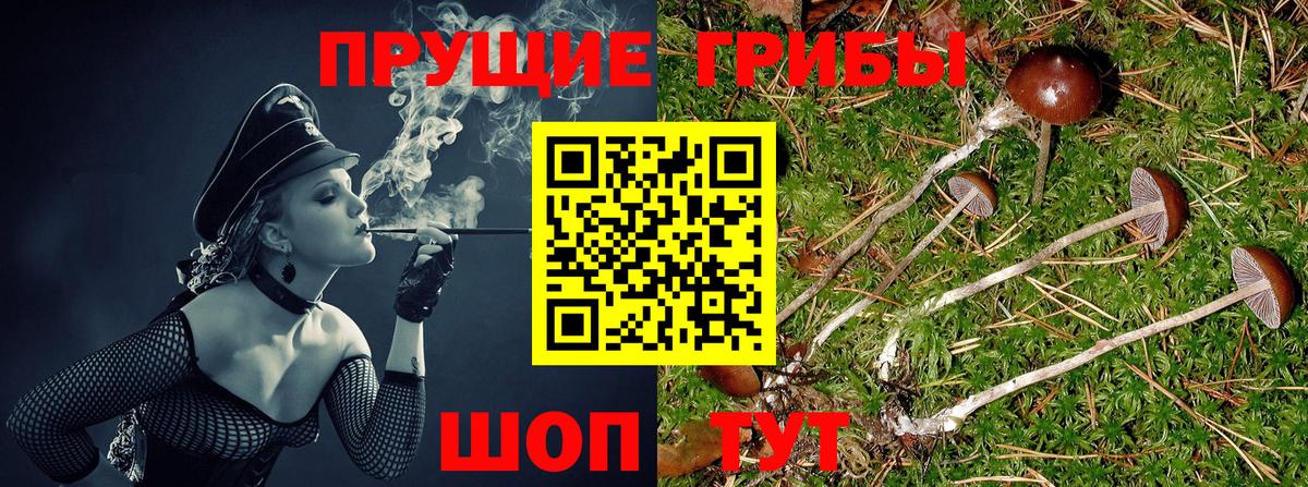 Усинск  Псилоцибиновые грибы Magic Shrooms  Галлюциногенные грибы MAGIC MUSHROOMS  Вход с VPN 
